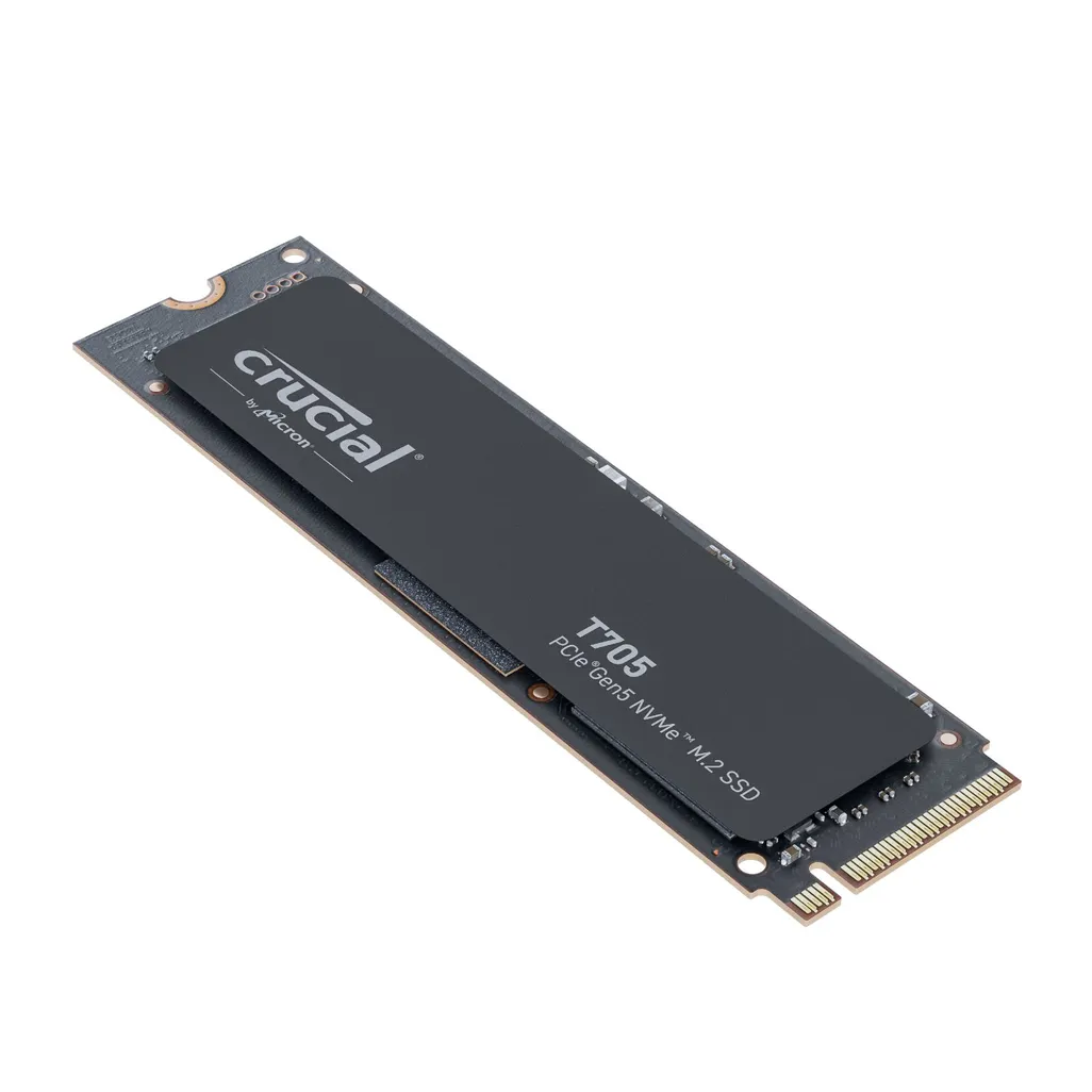 shopafella_pcb_rembrandt_01-11